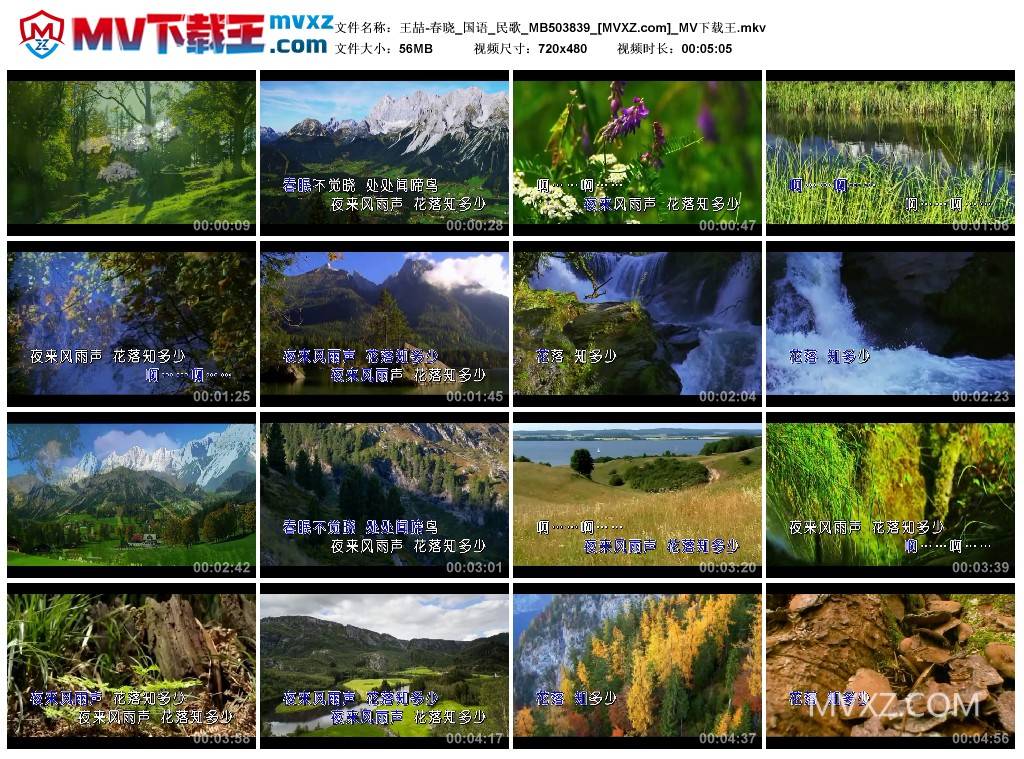 王喆-春晓_国语_民歌_MB503839